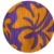 hibiscus orange